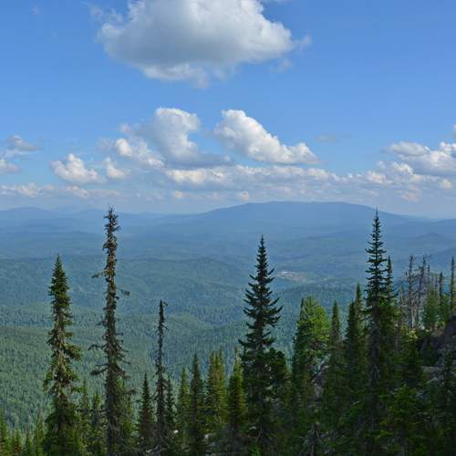 Photo #12026324