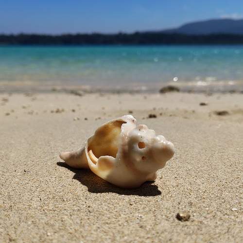 Photo #12026451