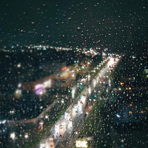 Photo #12026533