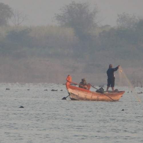 Photo #12026593