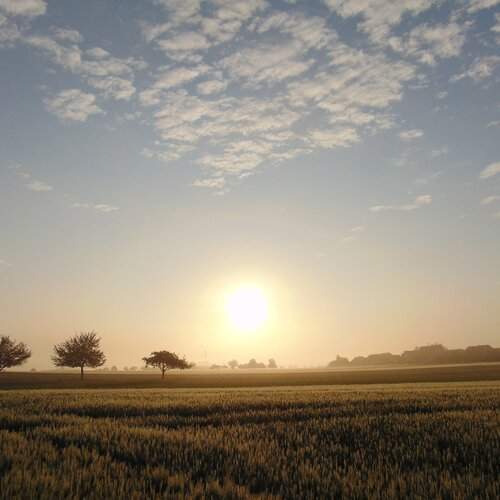 Photo #12026623
