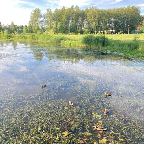 Photo #12026774