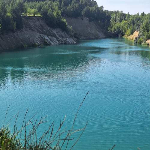 Photo #12027003