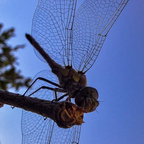 Photo #12027114