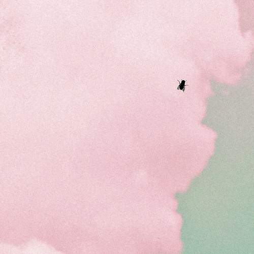 Photo #12027212