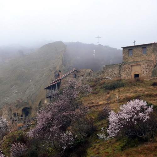 Photo #12027351