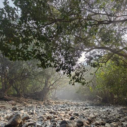 Photo #12027390