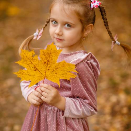 Photo #12027566
