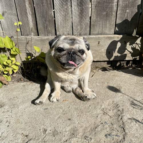Photo #12027613