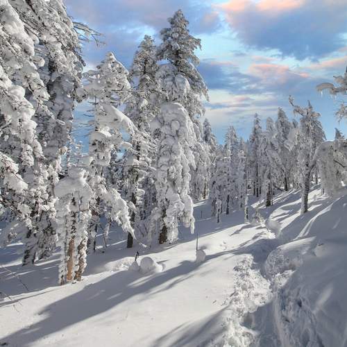 Photo #12027757