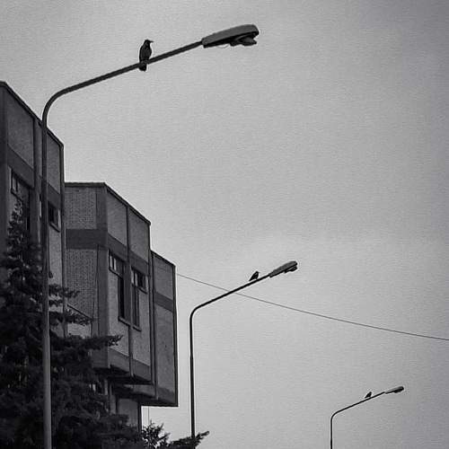 Photo #12027868