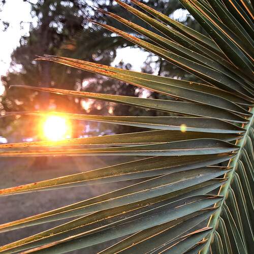 Фотография #12027943