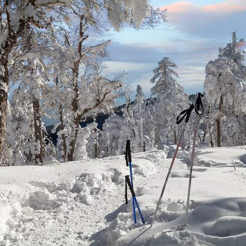 Photo #12027967