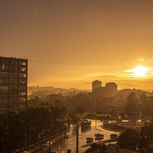 Photo #12028002