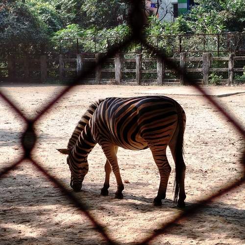 Photo #12028014