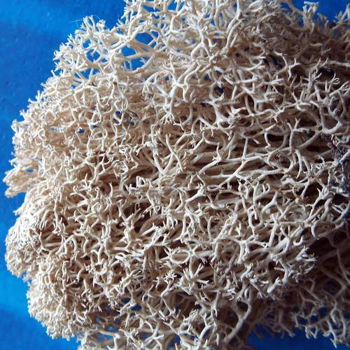 Photo #12028291
