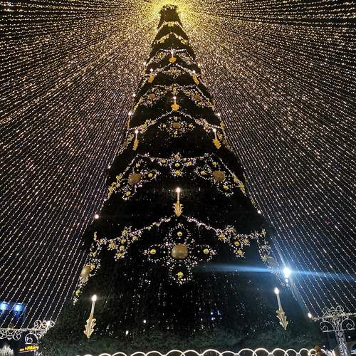 Photo #12028293