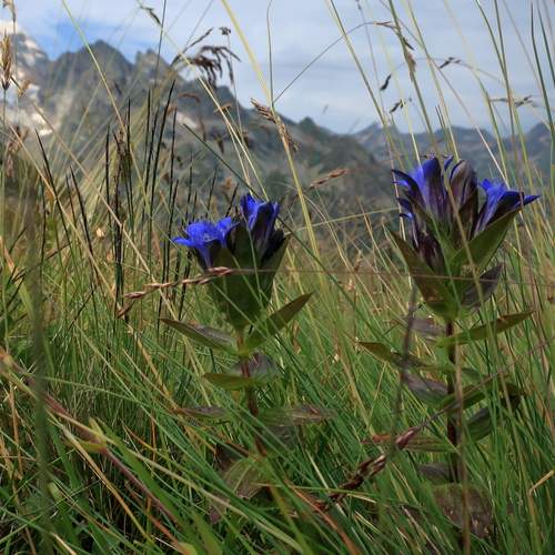 Photo #12028306