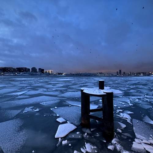 Photo #12028429