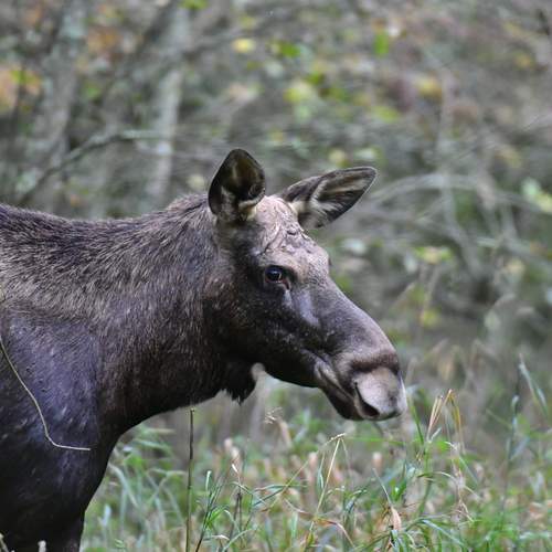 Photo #12028480