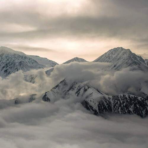 Photo #12028553