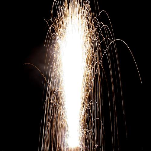Photo #12028567