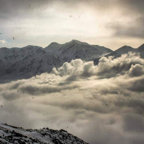 Photo #12028682