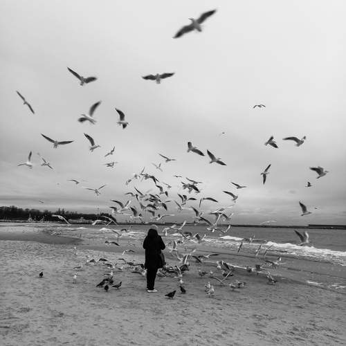 Photo #12028819