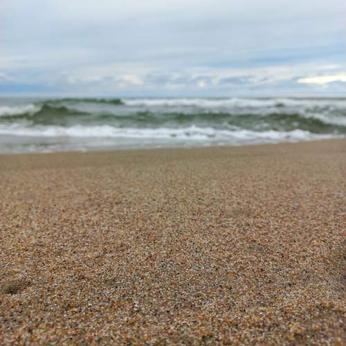 Photo #12028840