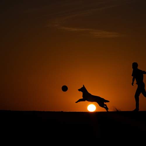 Фотография #12028863