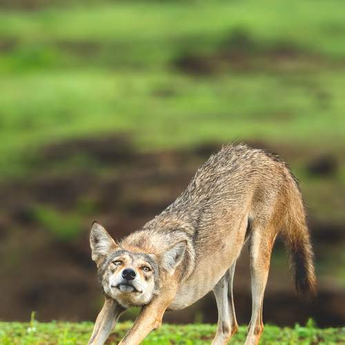 Photo #12028878