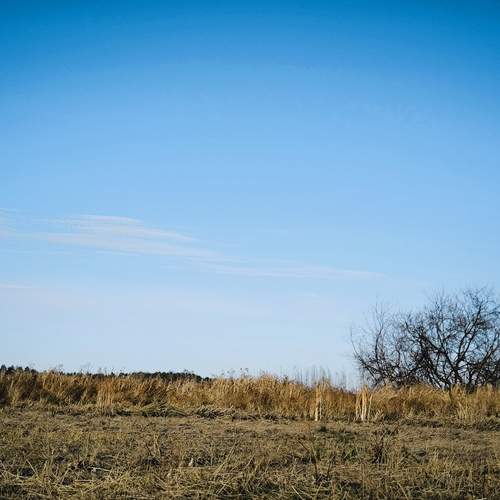 Photo #12028968