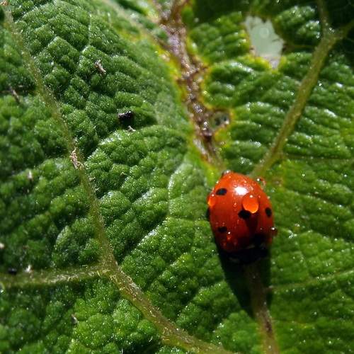 Photo #12029050