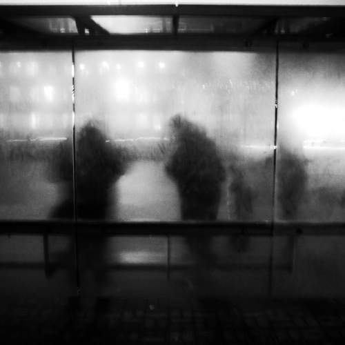 Photo #12029120