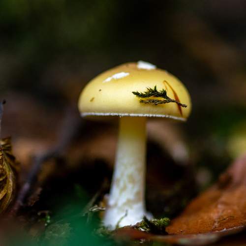 Photo #12029238