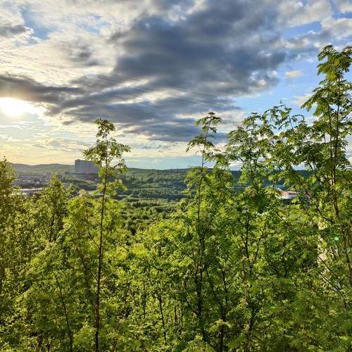 Photo #12029274