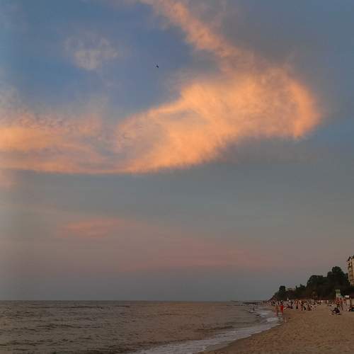 Photo #12029301