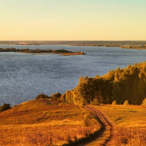 Photo #12029358