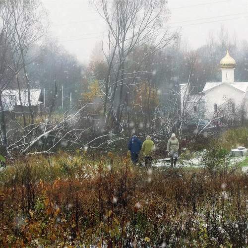 Photo #12029373