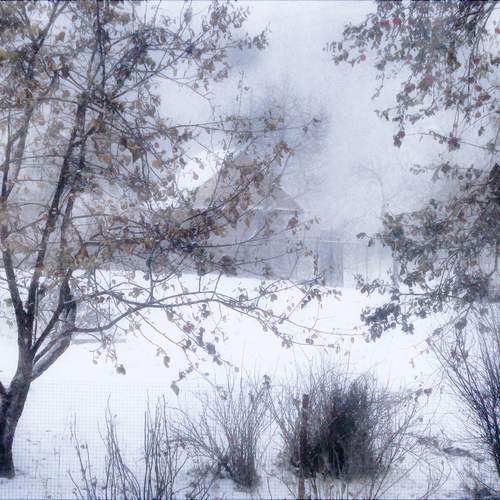 Photo #12029415