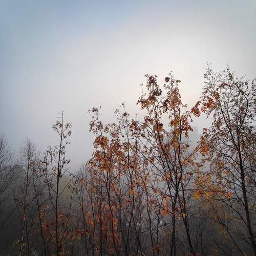 Photo #12029515