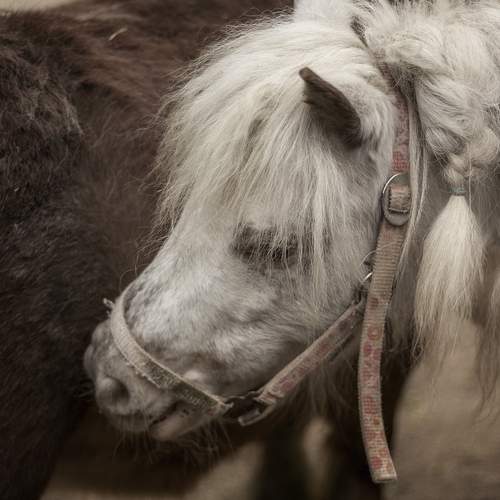 Photo #12029727