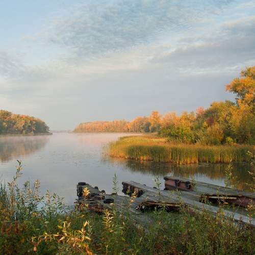 Photo #12029731