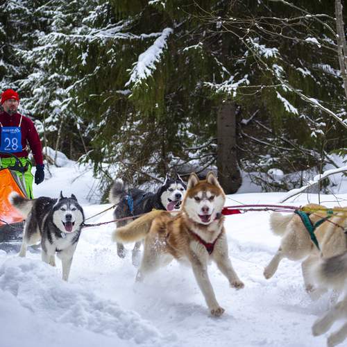 Photo #12029771