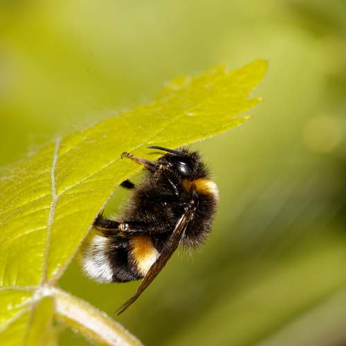Photo #12029808