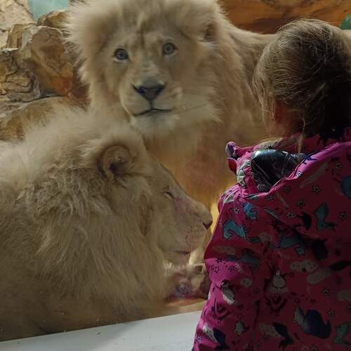 Photo #12029891