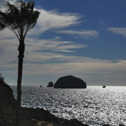 Photo #12030364