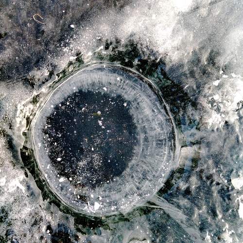 Photo #12030378