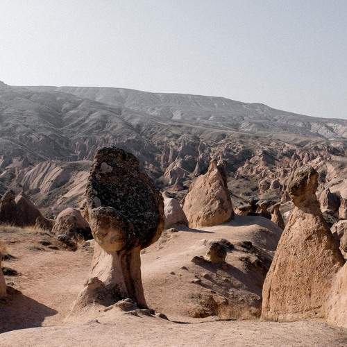 Photo #12030427