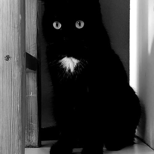 Photo #12030475